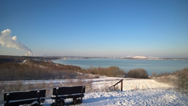 WP_20190204_09_35_04_Pro